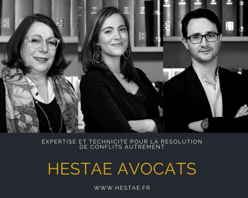 Photo de Maître Maître Clarisse Bougaud & Maître Christophe David (HESTAE AVOCATS)