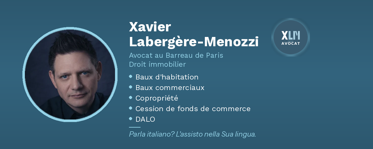 Photo de Ma&icirc;tre Xavier LABERGERE-MENOZZI