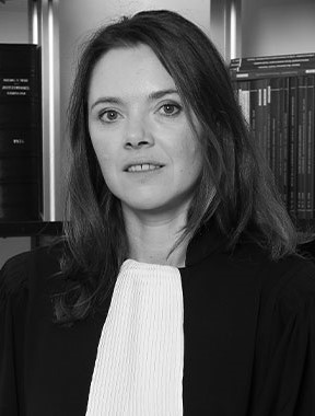 Photo de Ma&icirc;tre Audrey HAMELIN
